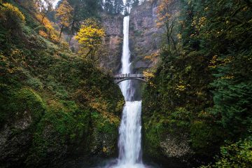 Tall waterfall with green trees on either side.