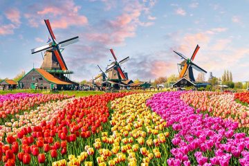 day trips from amsterdam