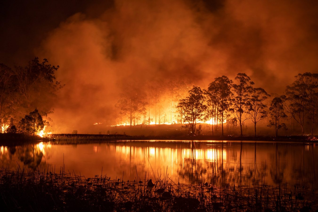 support australia wildfire