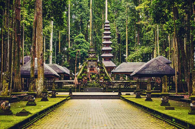monkey sanctuary