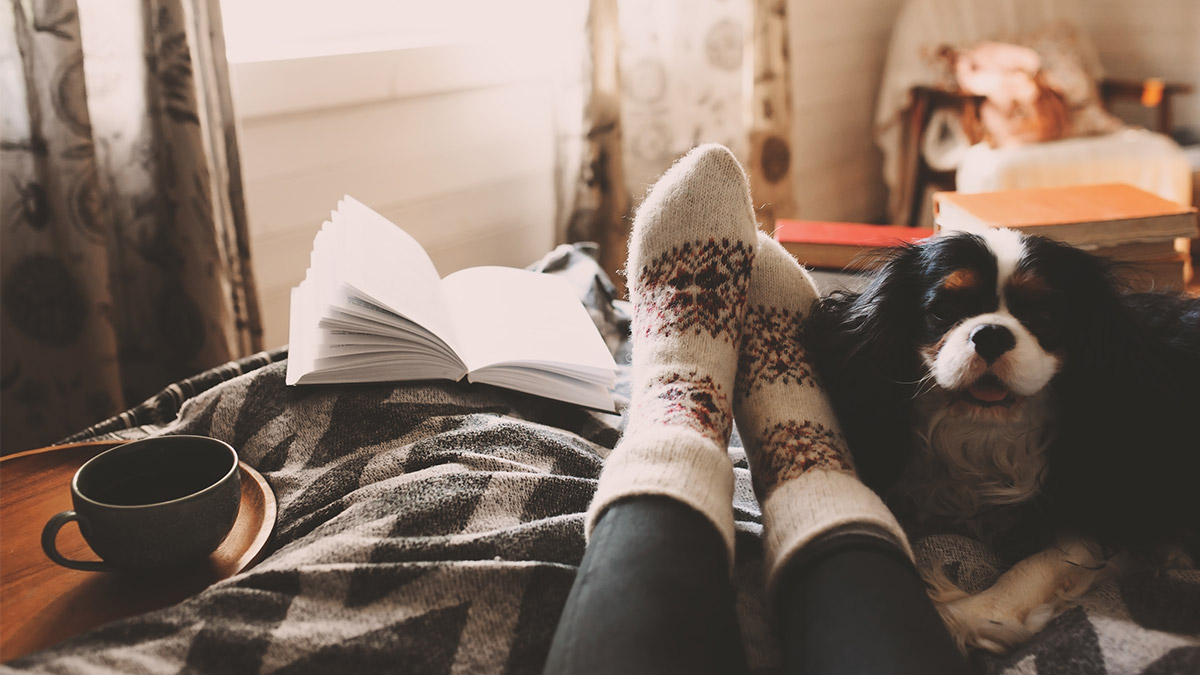 things to do while you stay at home