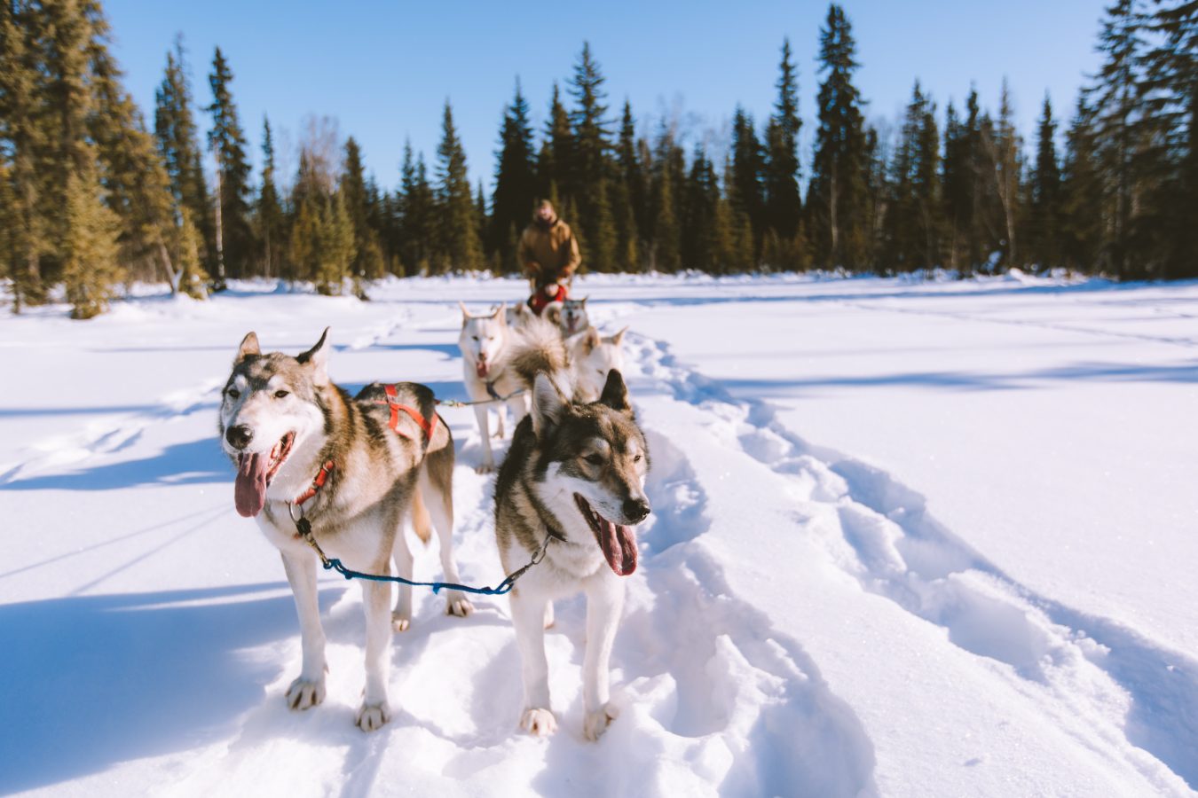 fairbanks alaska