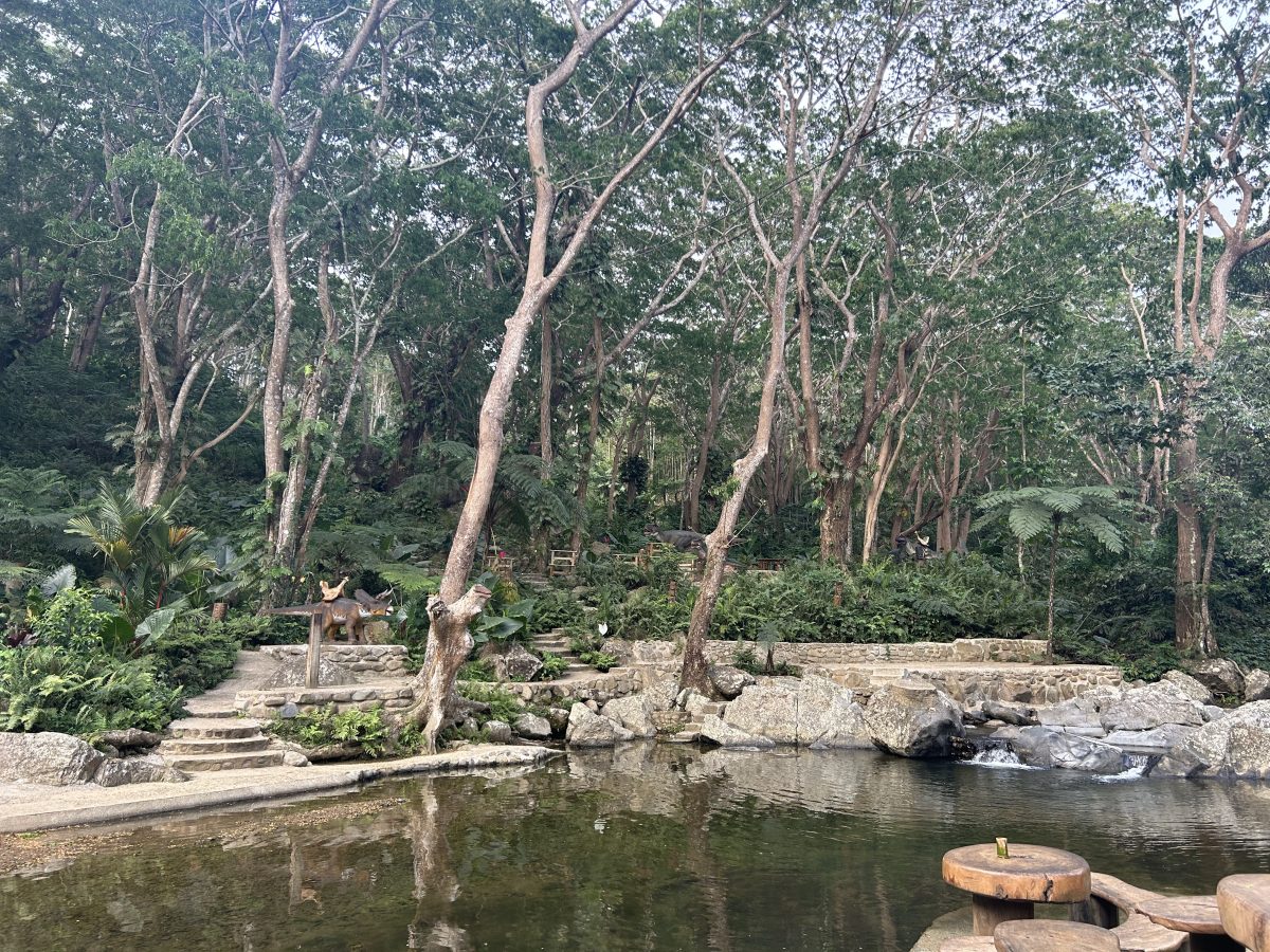 A view of the area you can hang out in while visiting, as well as part of what you zipline over.