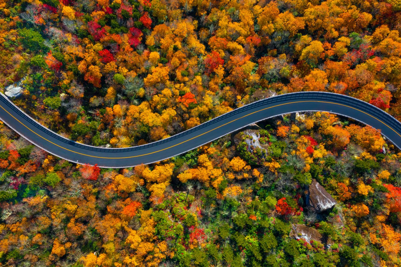 Overhead view of the Blue Ridge Parkway in North Carolina during fall, perfect for road trips in the US
