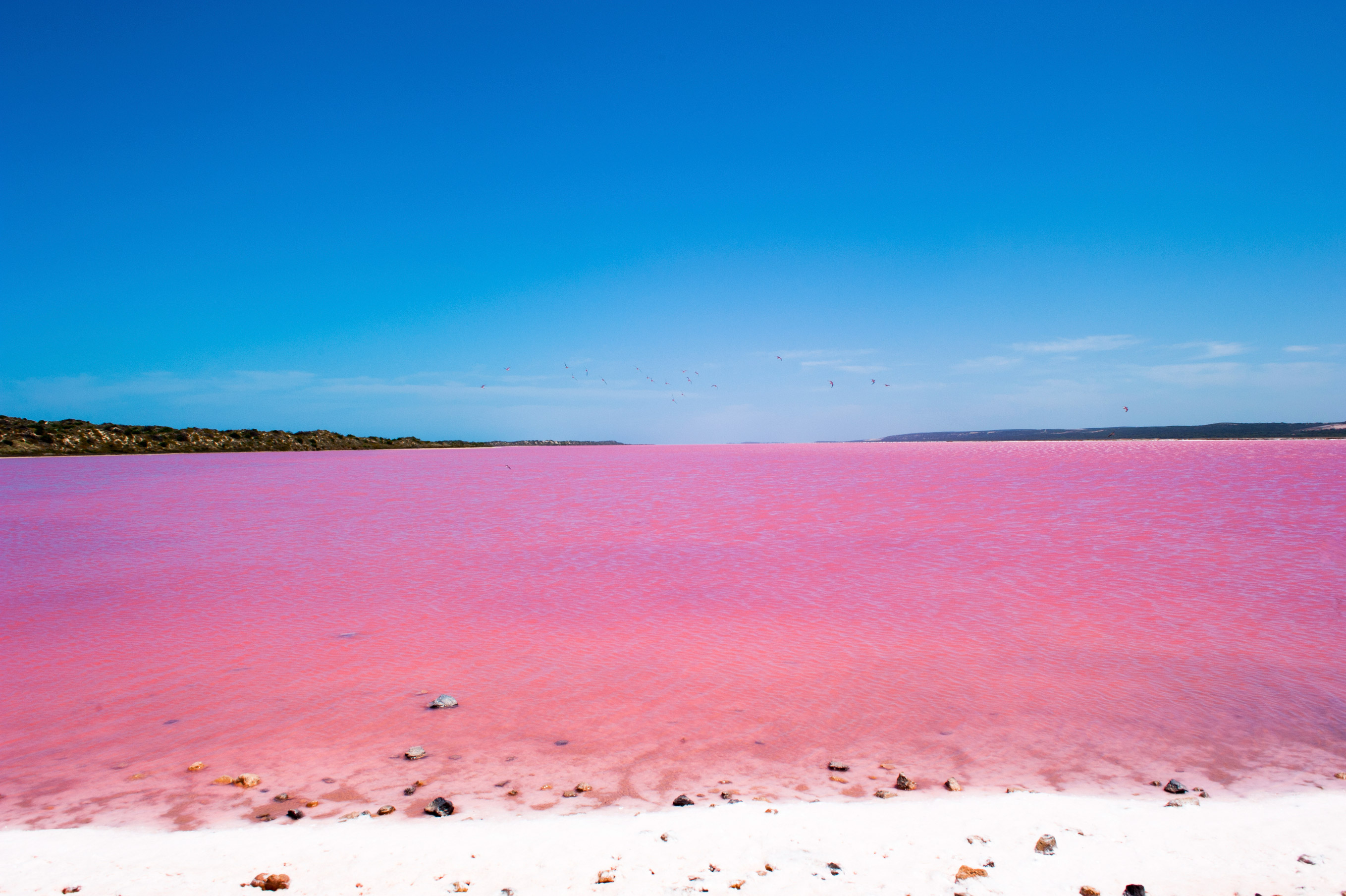 australia-pink-lake