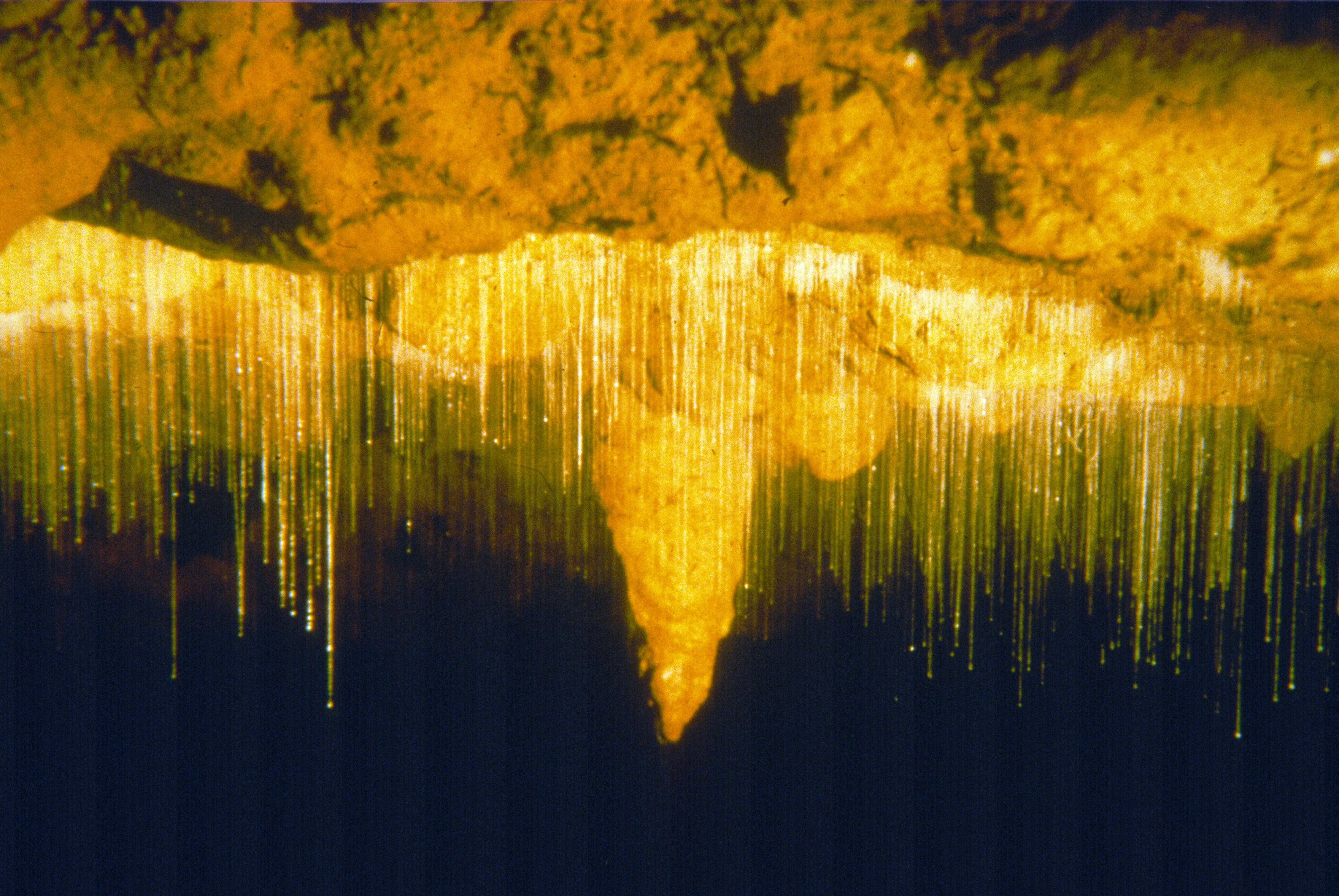 waitomo-caves-new-zealand