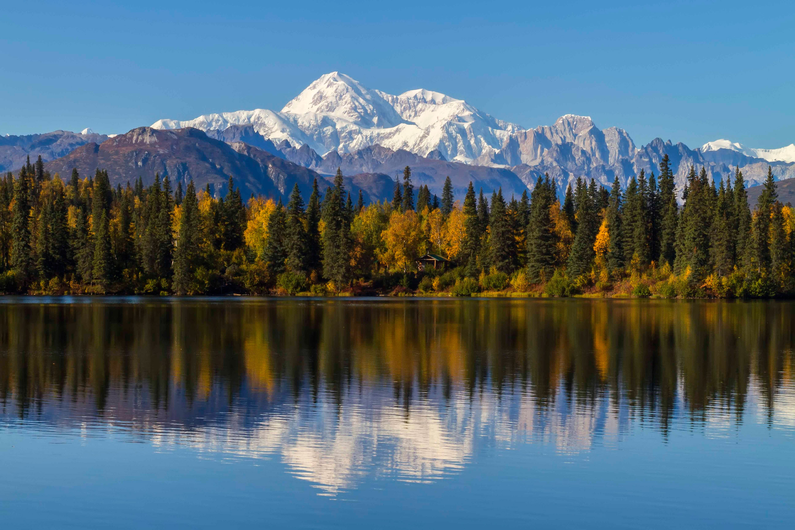 denali-must-see-national-park