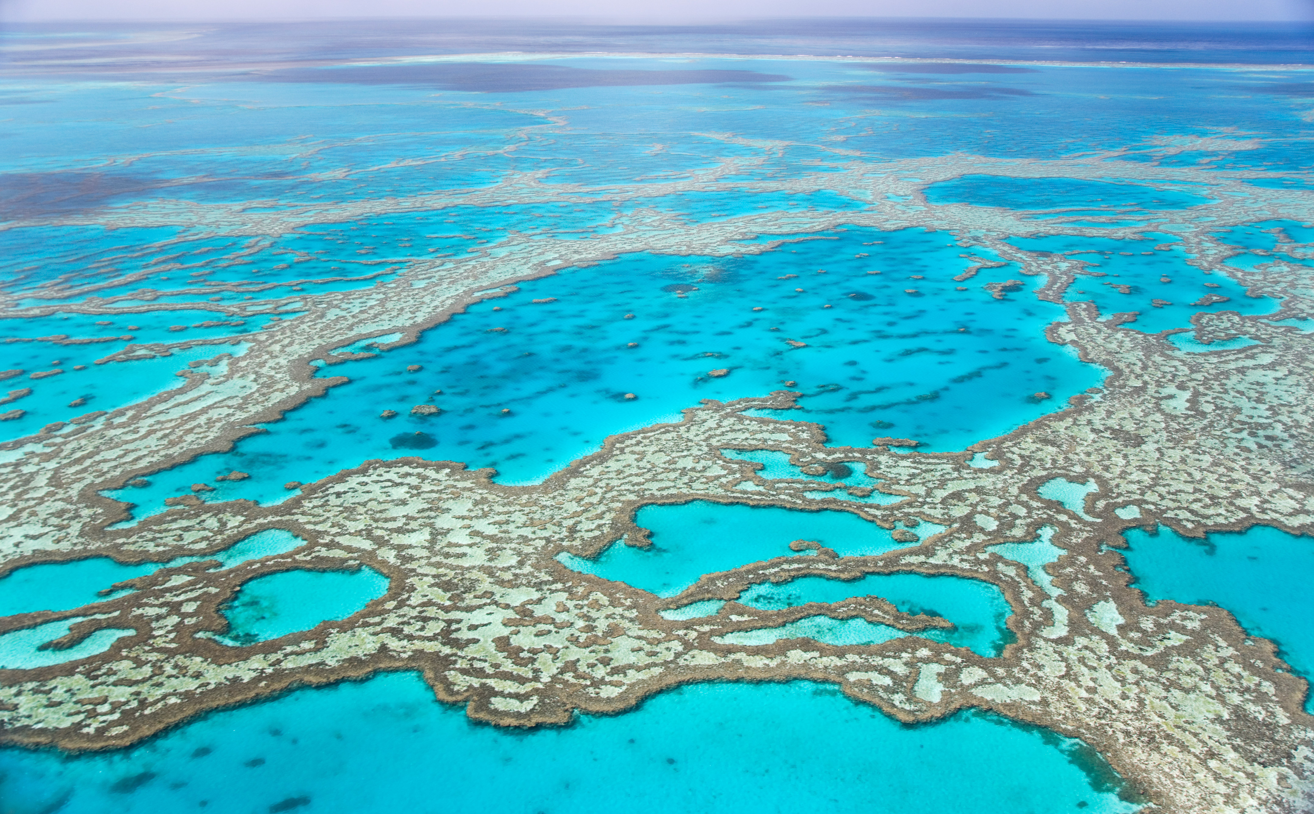 great-barrier-reef