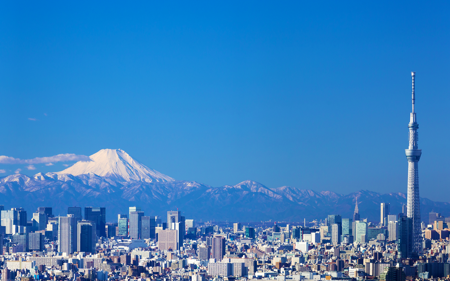 Tokyo Skyline