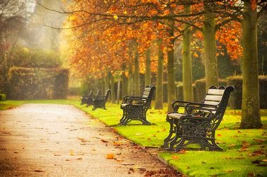 A view of an autumn day in Regents Park