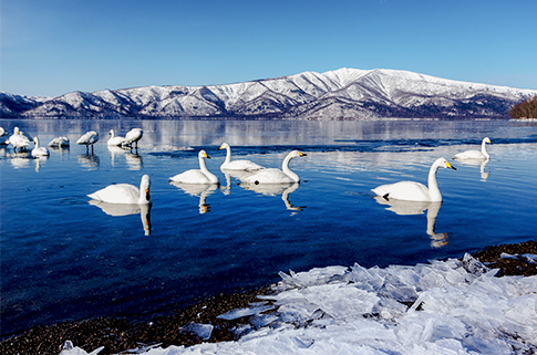 lake-kussharo-scenery-in-japan