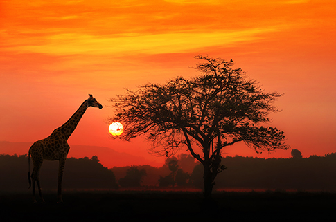 serengeti-park-places-to-visit-before-you're-30