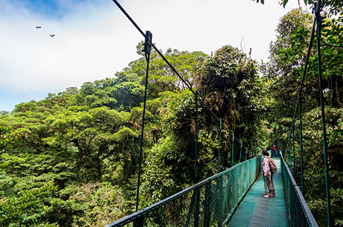 Traveler in the gap year destination of Costa Rica walking across a bridge high in the treeline.