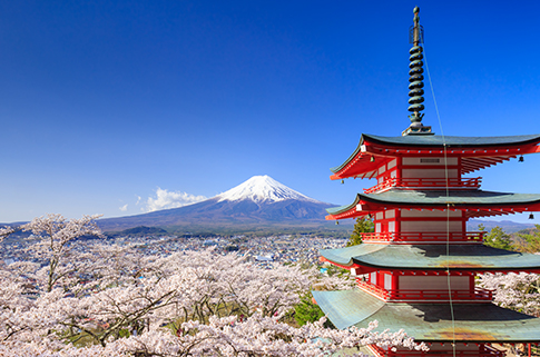 A temple and cherry blossom trees in the foreground with Mount Fuji in the background. Japan is an amazing gap year destination.