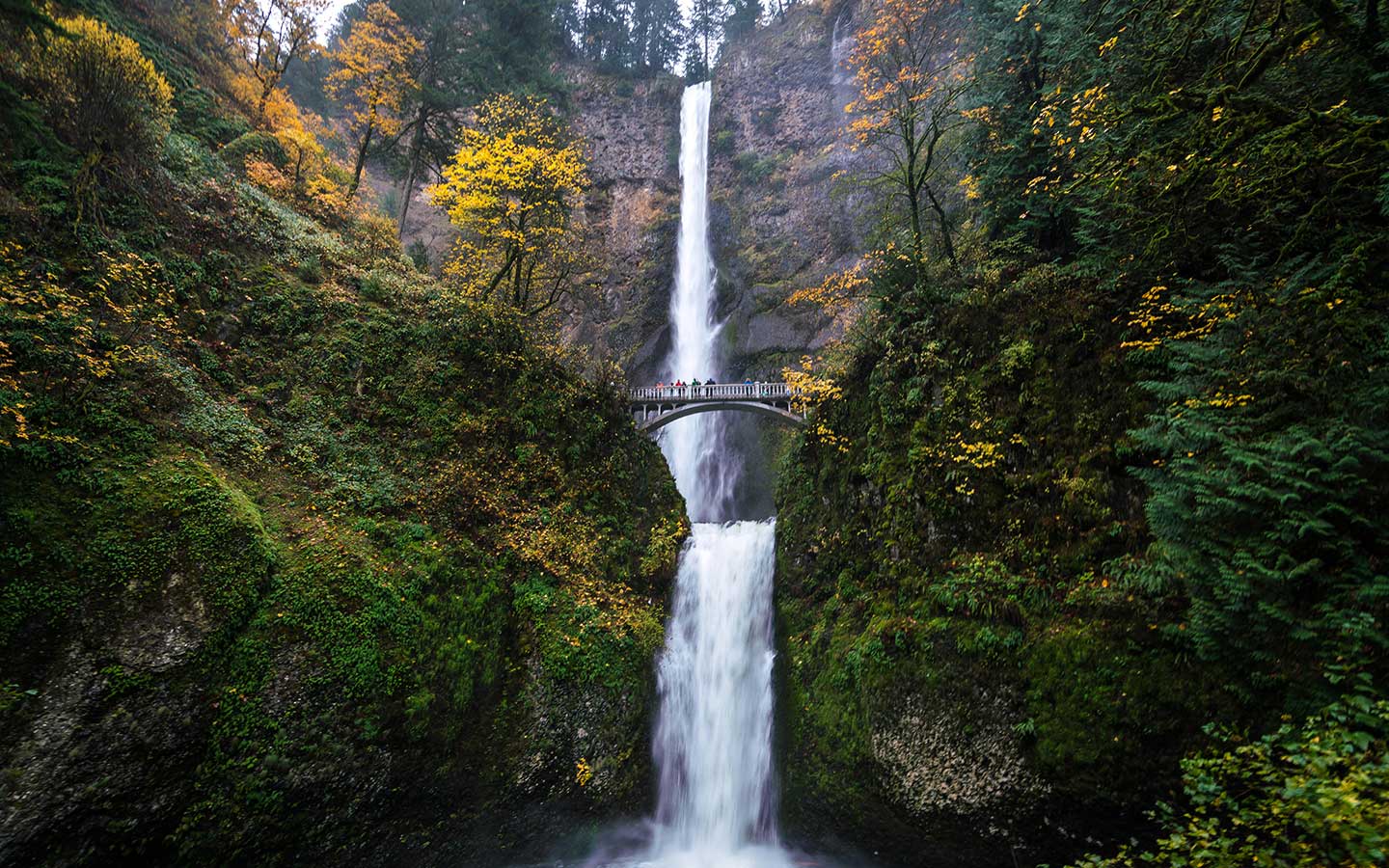 Tall waterfall with green trees on either side.