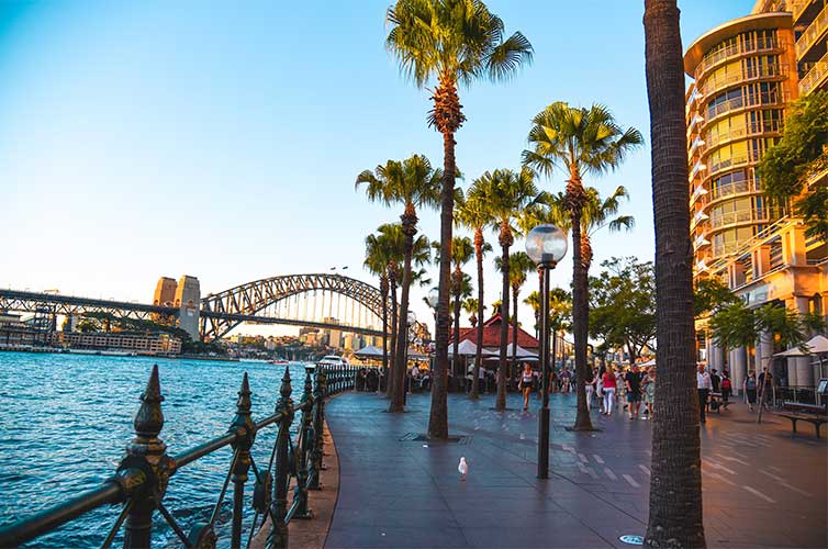 study abroad sydney