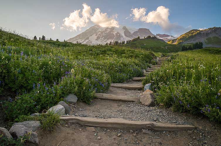 backpacking mt rainier