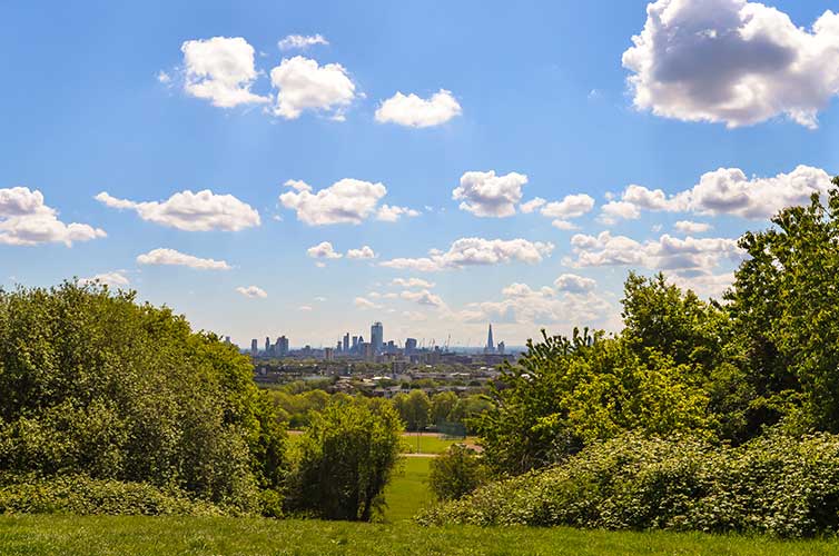 Hampstead Heath