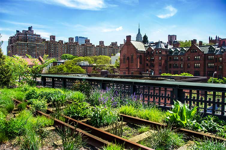 The High Line