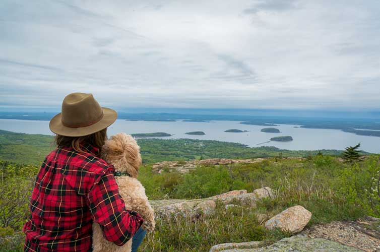 dog-friendly vacation spots
