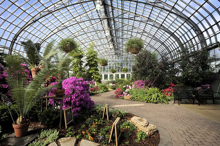 conservatory