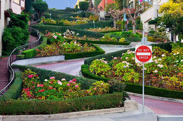 lombard street san francisco