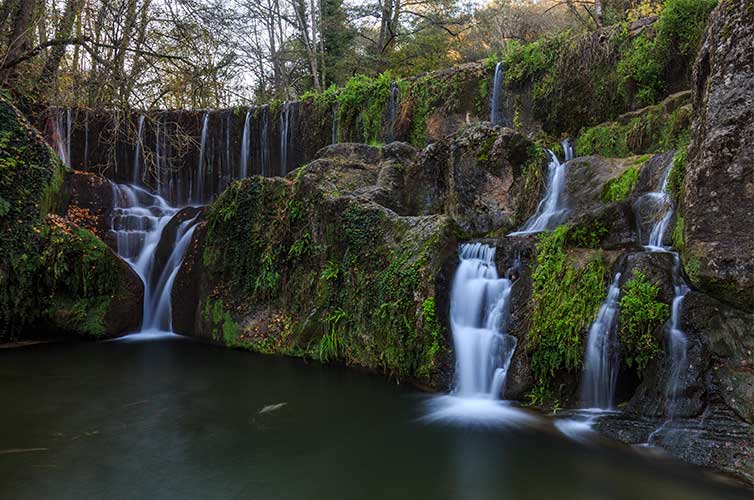 La Fageda d'en Jorda