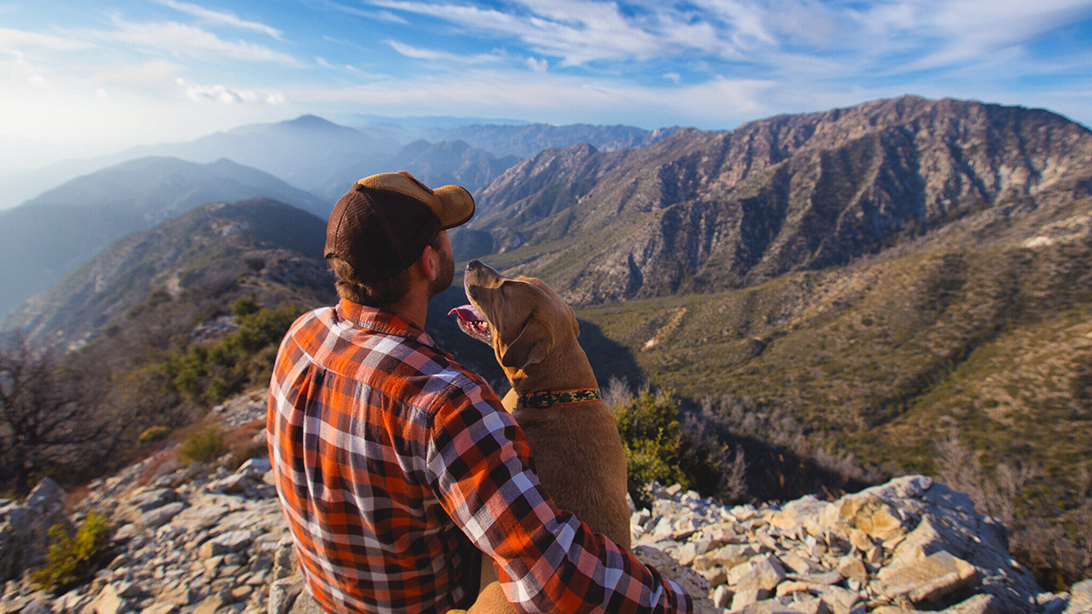 Traveling dogs on instagram you need to follow right now