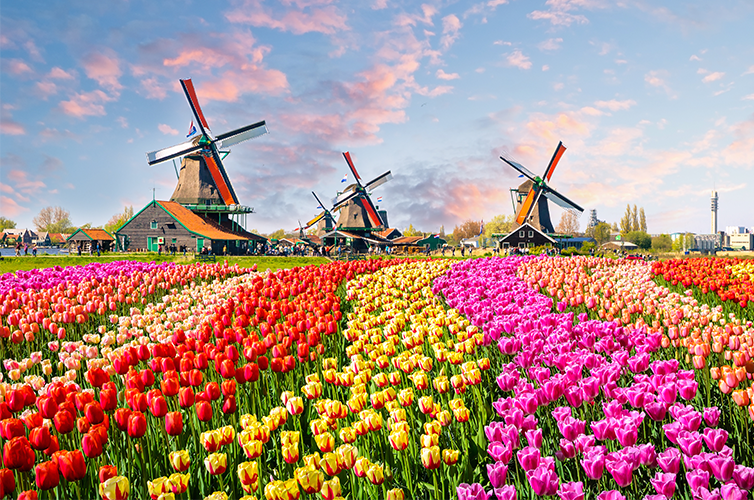 day trips from amsterdam
