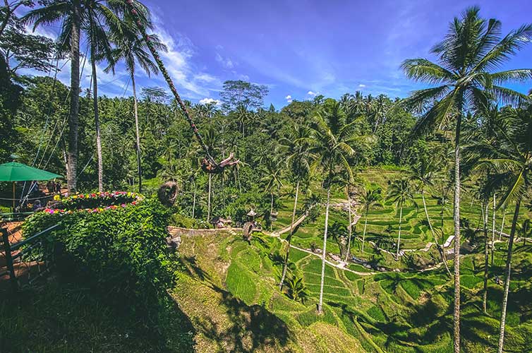 bali bucket list