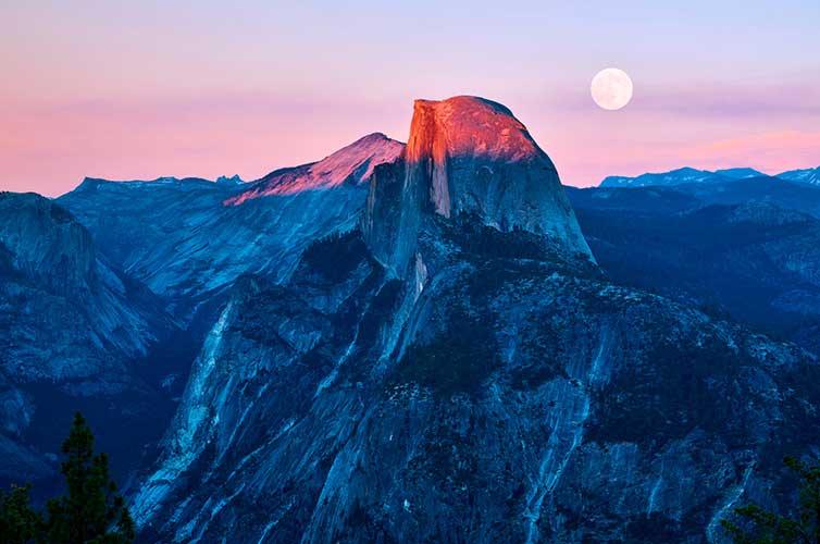 yosemite volunteers