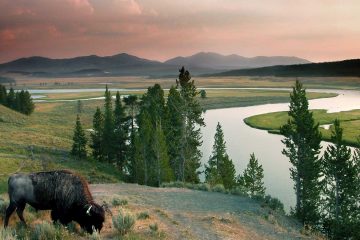 yellowstone-national-park