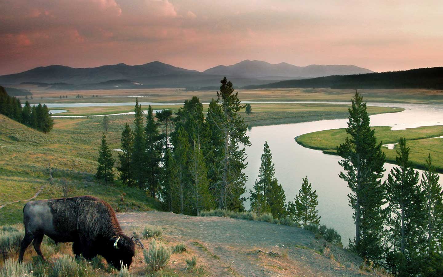 yellowstone-national-park