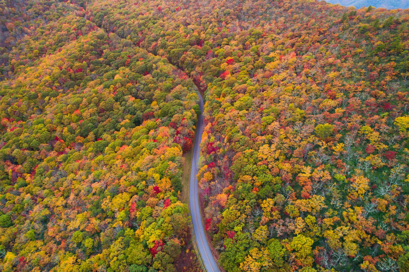 fall road trips