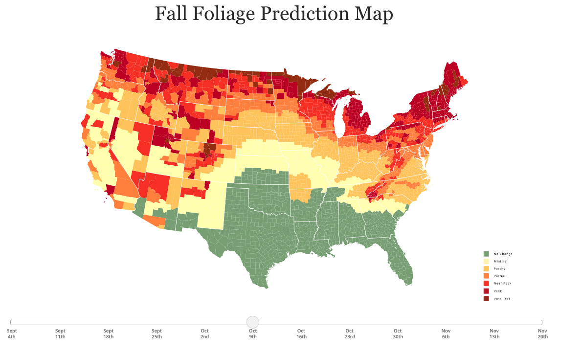 The Fall Foliage Prediction Map from Smokymountains.com, showing leaf changing predictions for the US by county on October 9, 2023.