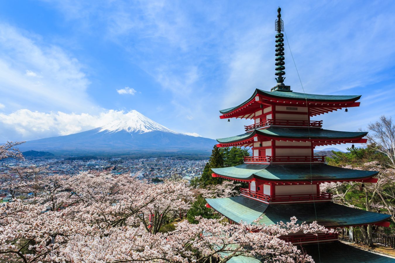 Mt Fuji, Chureito Pagoda or Red Pagoda with sakura in spring, in Japan.