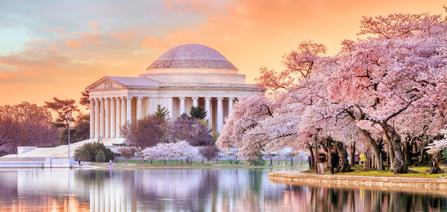 Jefferson Memorial during the Cherry Blossom Festival in Washington, DC, United States.