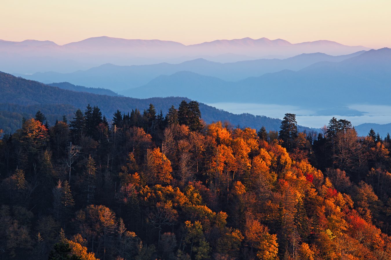 Sunrise at Great Smoky Mountains National Park, USA in fall.