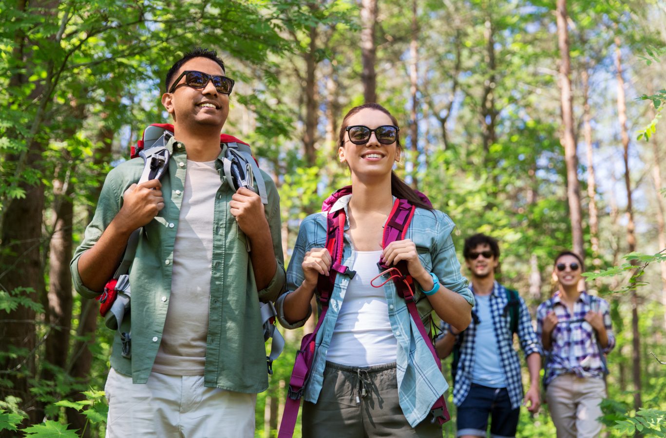 Group of traveler friends on a day hike in the forest.