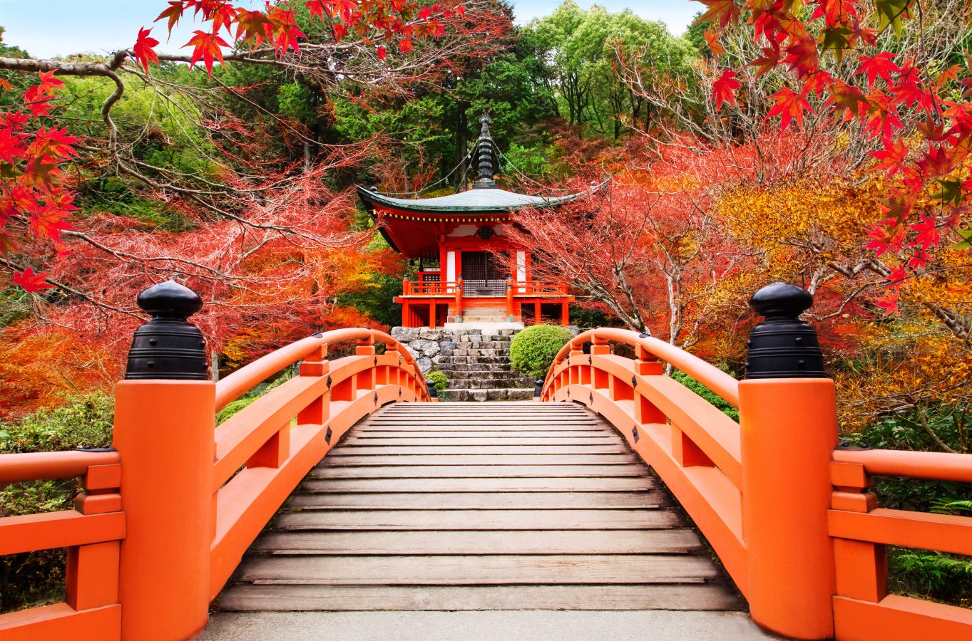 Japanese bridge and architecture.