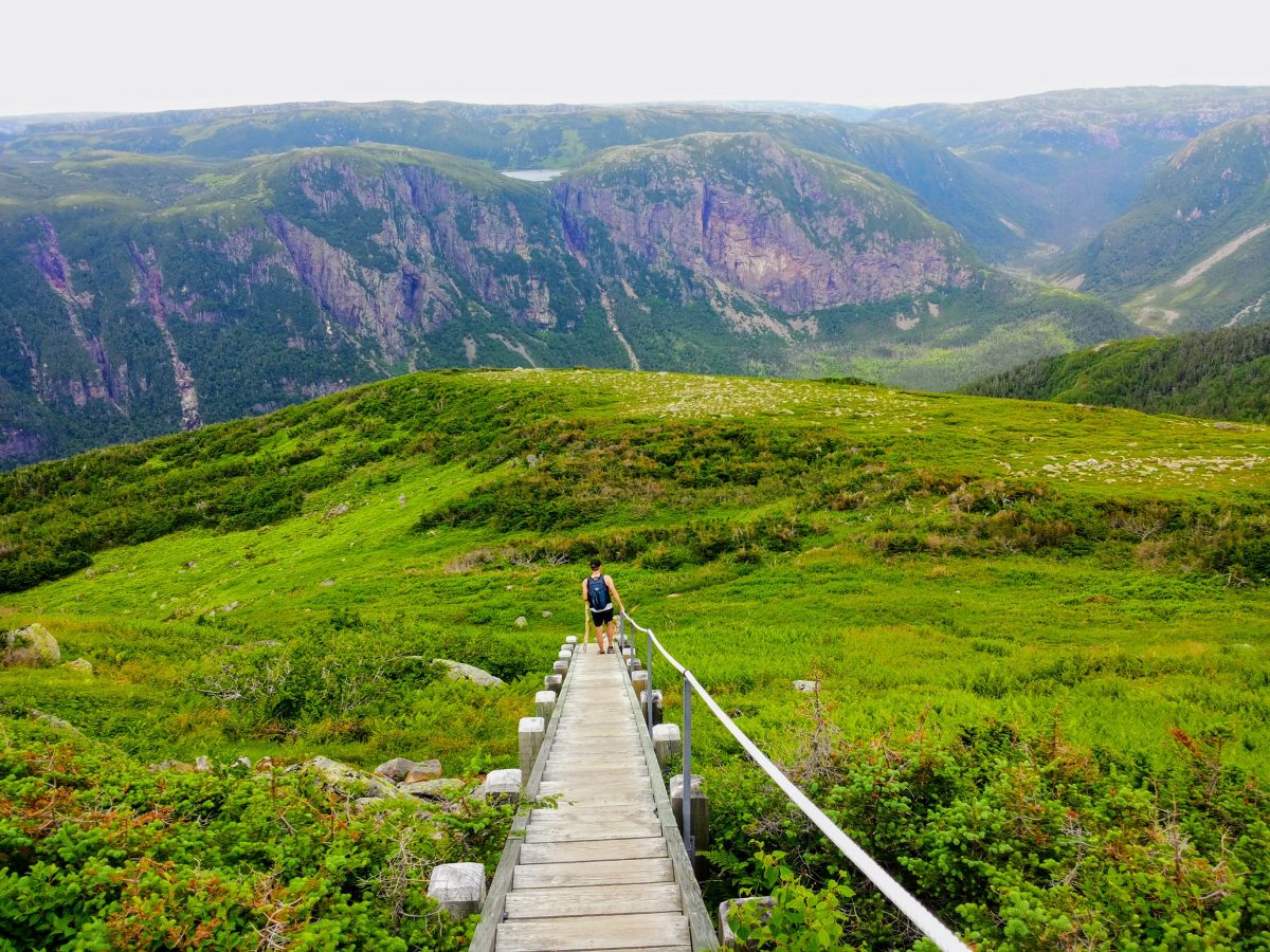 A young male hiker descending down a long staircase from Gros Morne Mountain, in Gros Morne National Park, Newfoundland and Labrador, Canada