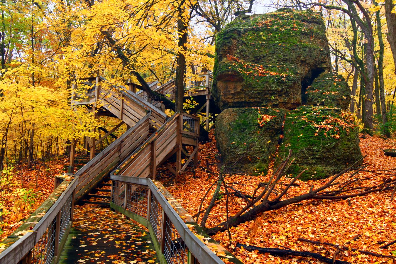 Rock Cut State Park, Illinois with bright autumn leaves.