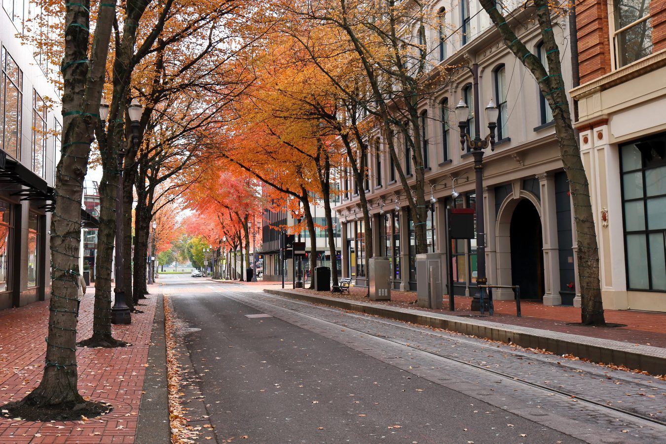 Autumnal picture of a city street in Oregon.