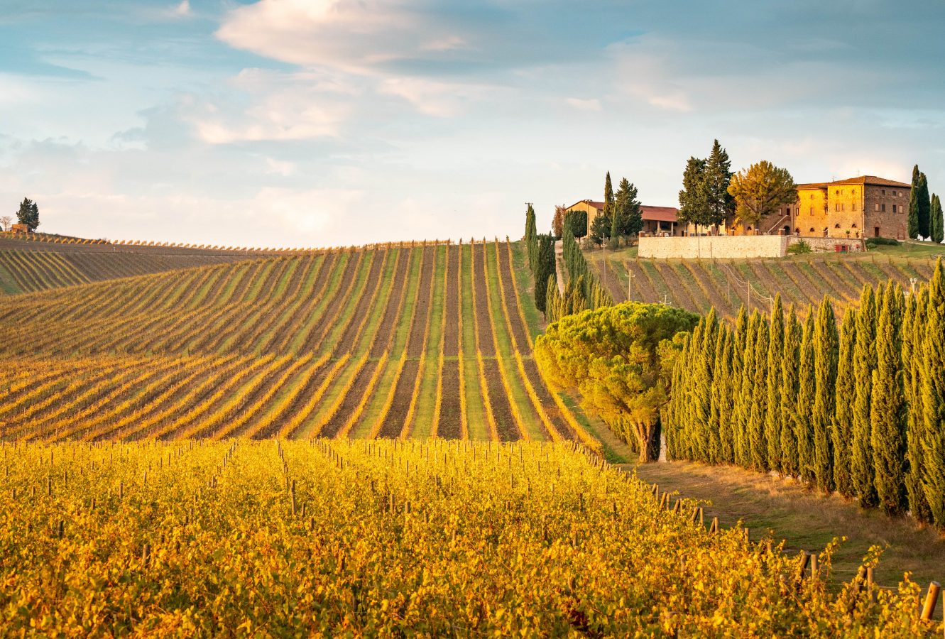 Bright yellow farm fields of Tuscany, Italy in the fall. Amongst the best places to visit in Autumn.