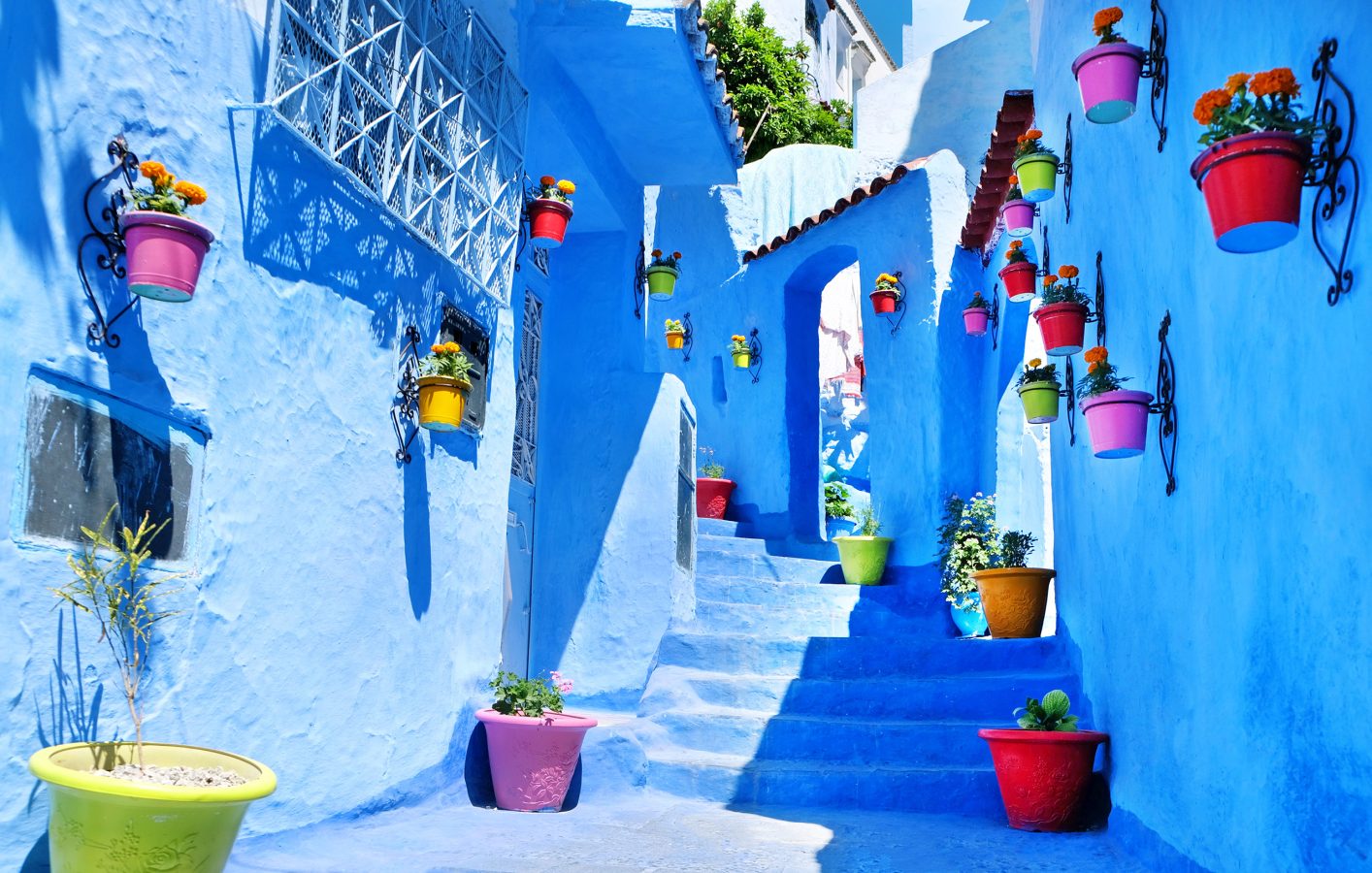 Bright blue street of homes in Morocco with colorful flower pots decorating.